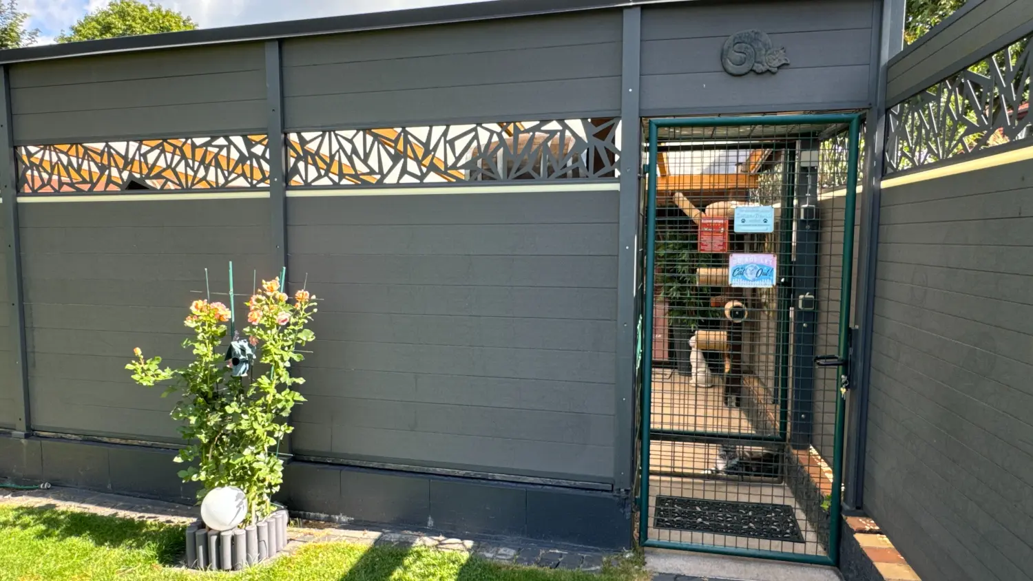 Gehege & Zimmer von Danas Katzenpension