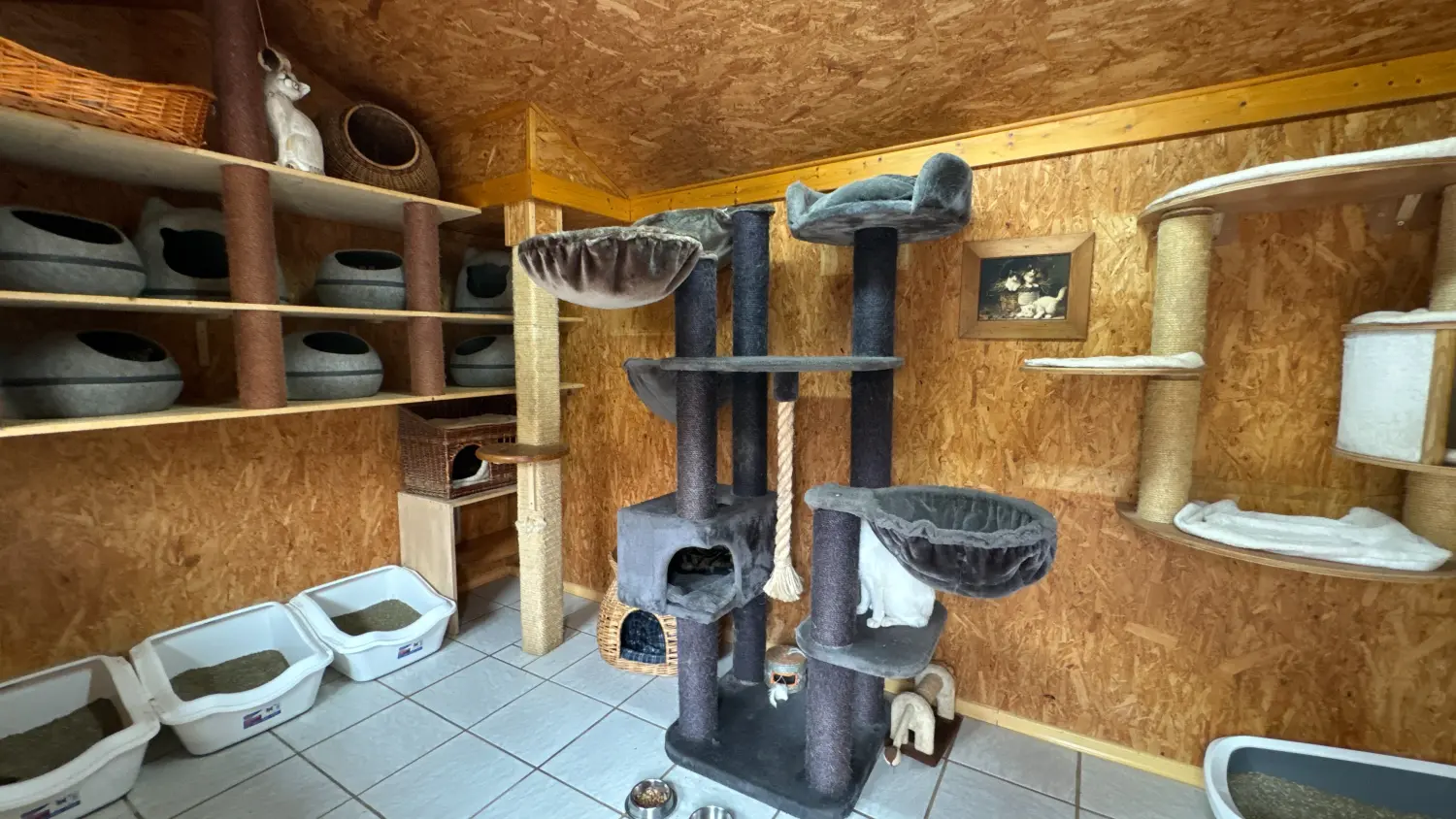Gehege & Zimmer von Danas Katzenpension