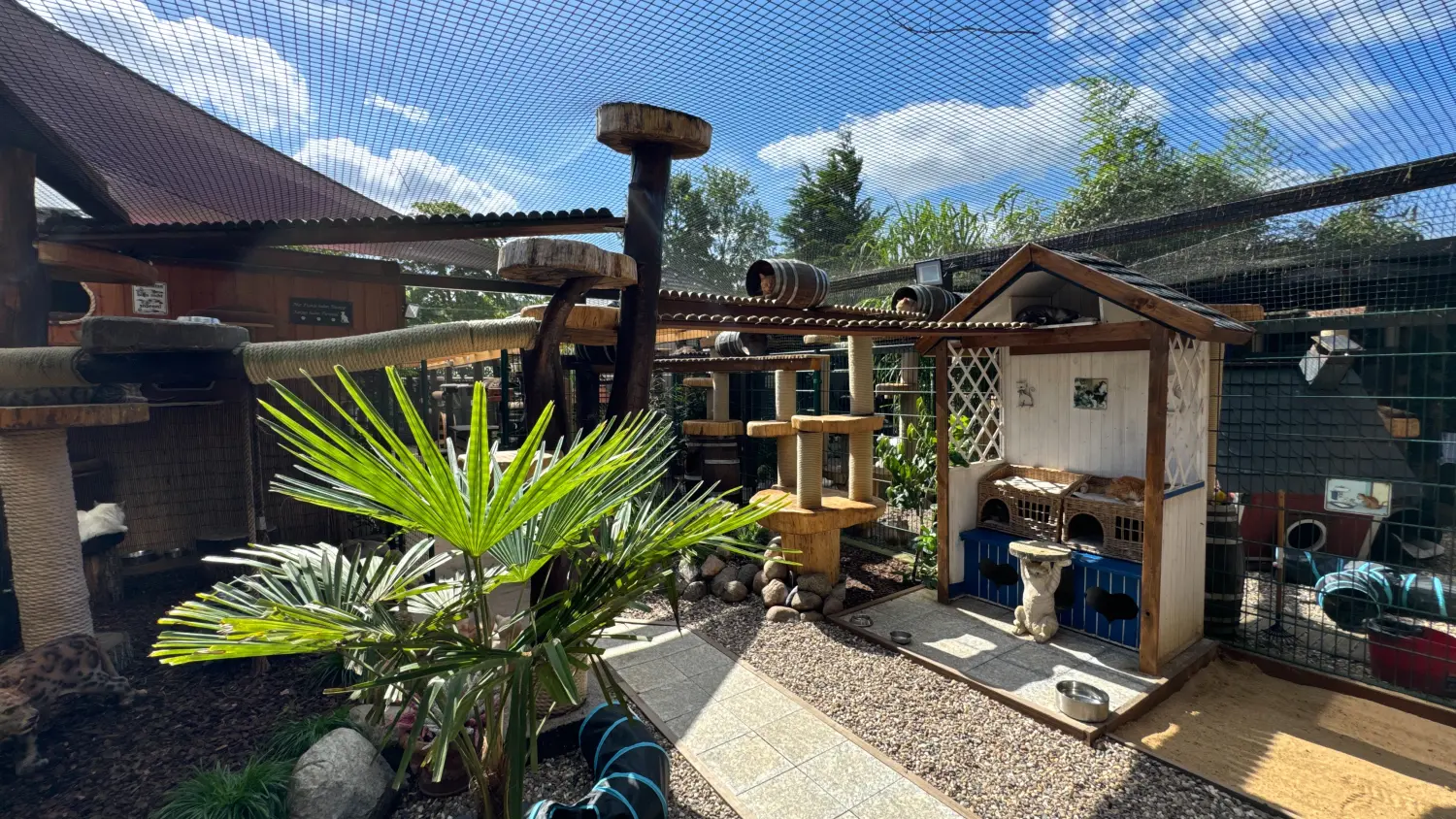 Gehege & Zimmer von Danas Katzenpension