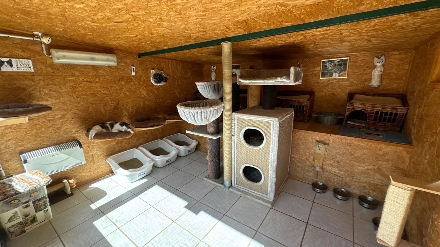 Gehege & Zimmer von Danas Katzenpension
