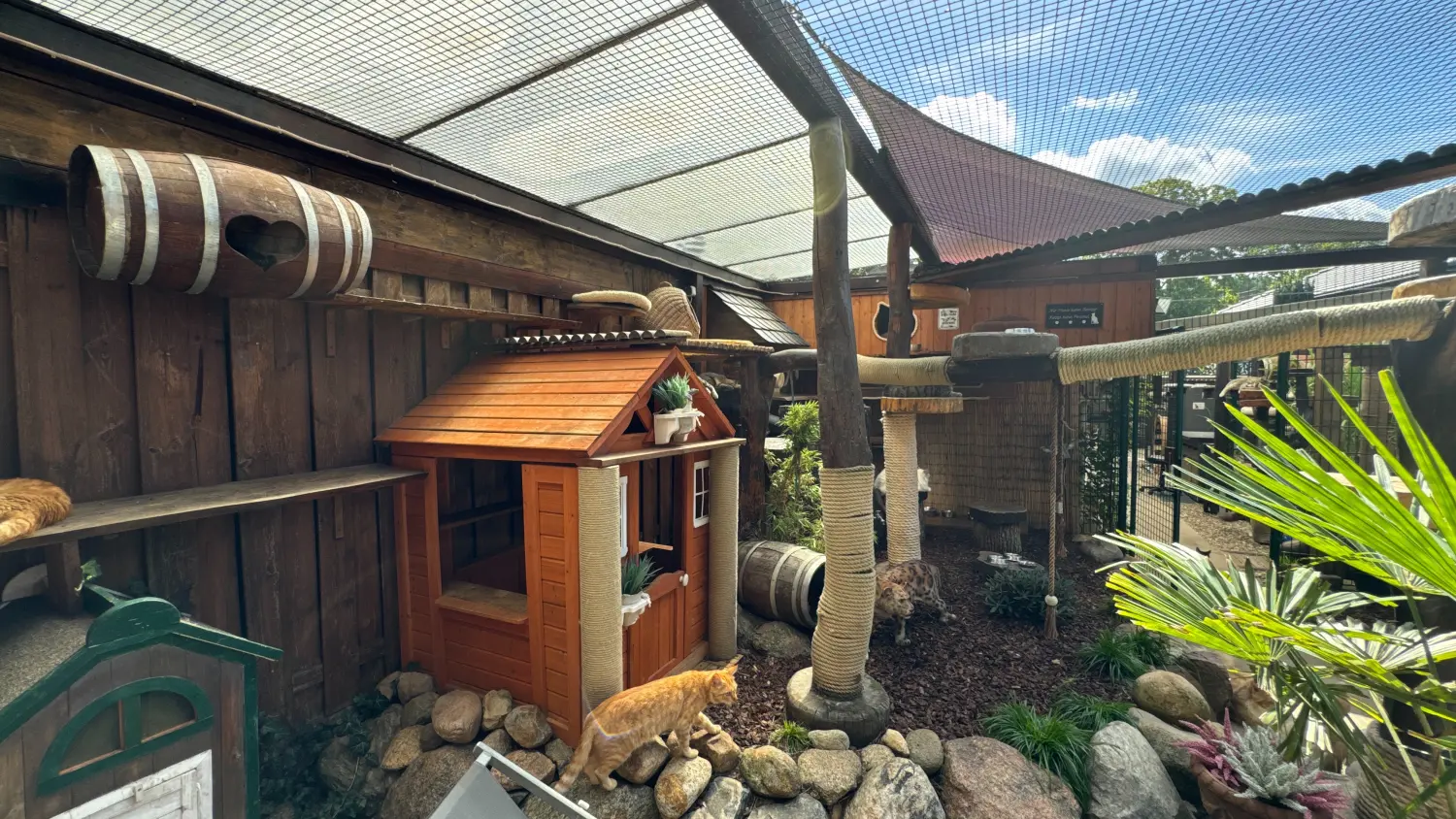 Gehege & Zimmer von Danas Katzenpension