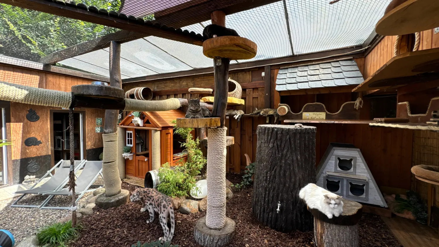 Gehege & Zimmer von Danas Katzenpension