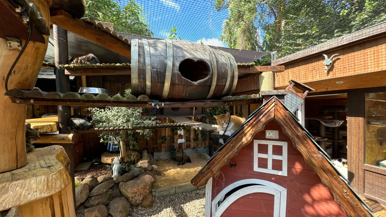 Gehege & Zimmer von Danas Katzenpension