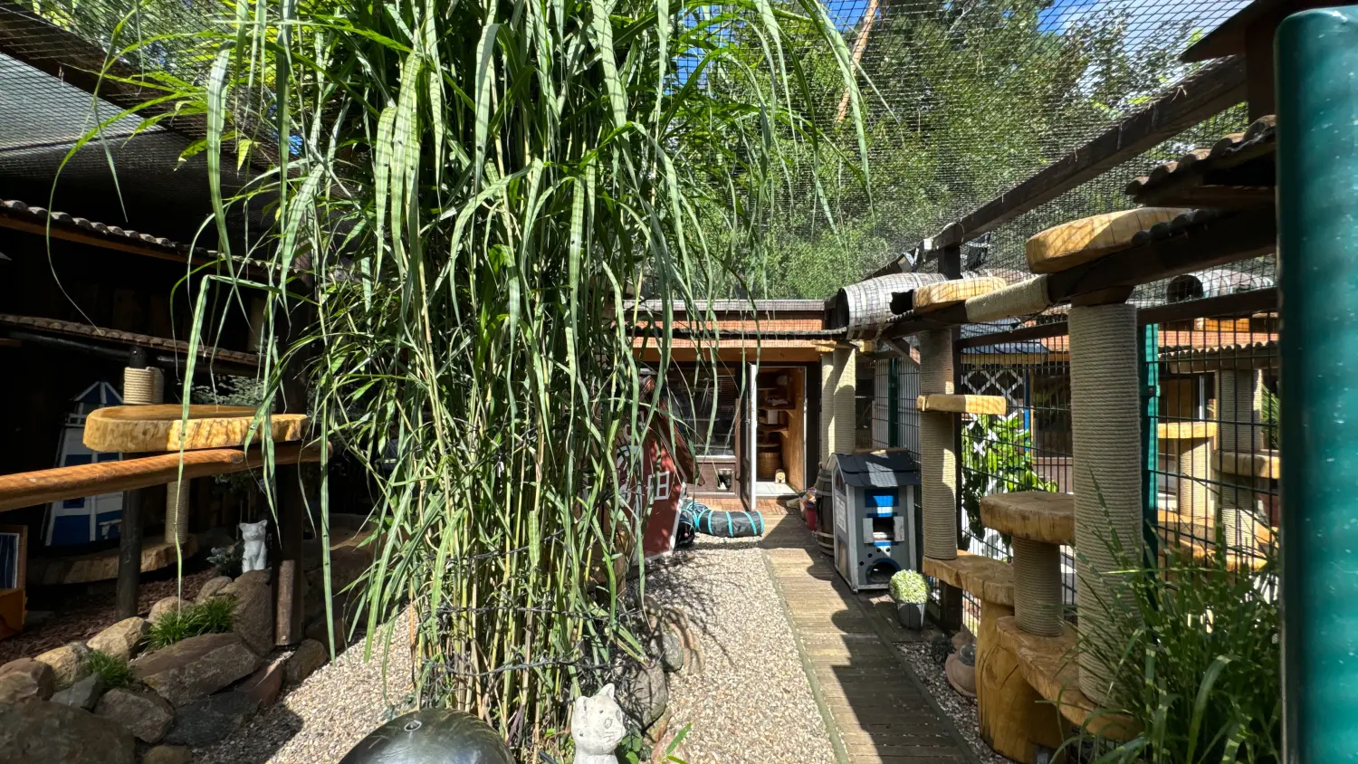 Gehege & Zimmer von Danas Katzenpension