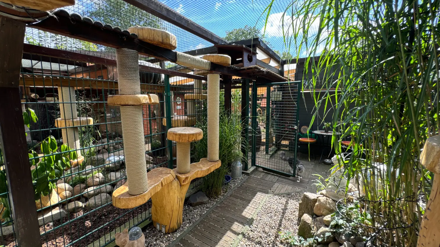 Gehege & Zimmer von Danas Katzenpension