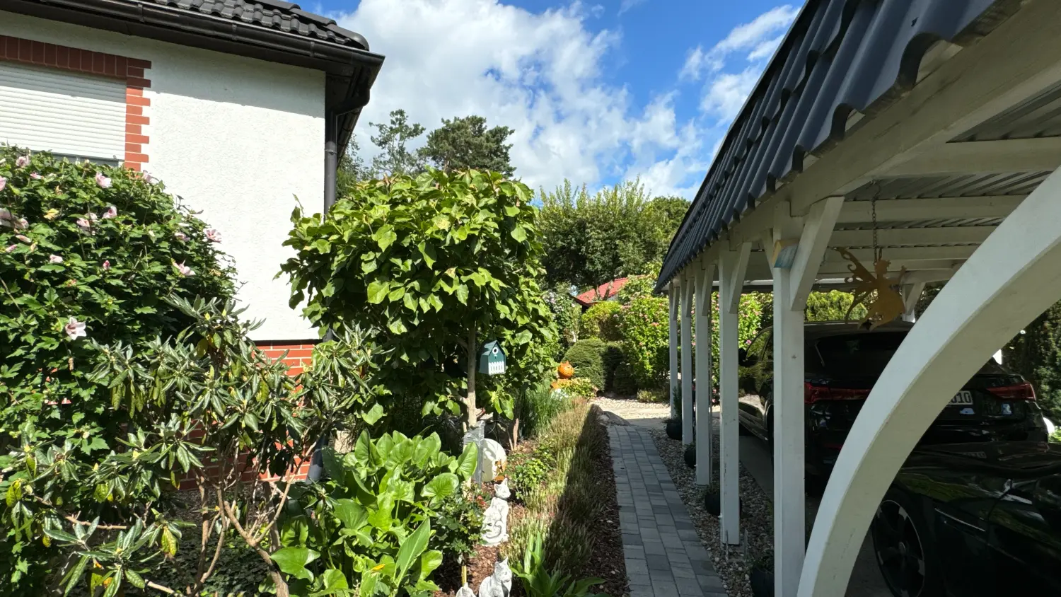Gehege & Zimmer von Danas Katzenpension
