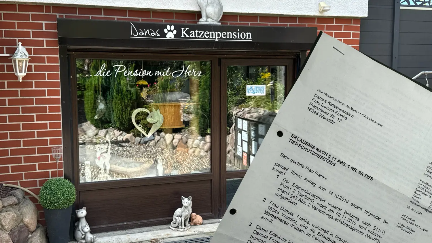 Katzenzimmer & Freigehege von Danas Katzenpension