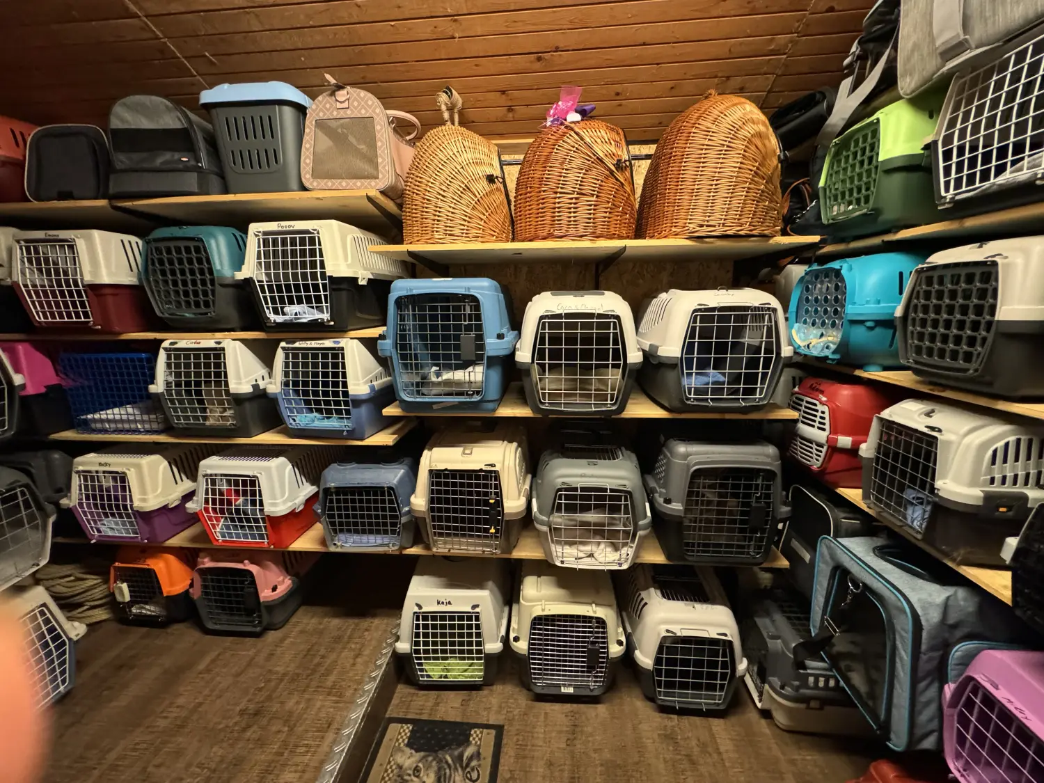 Katzenzimmer & Freigehege von Danas Katzenpension 